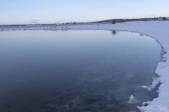 Vinterbilleder Husodde 10. februar 2021.